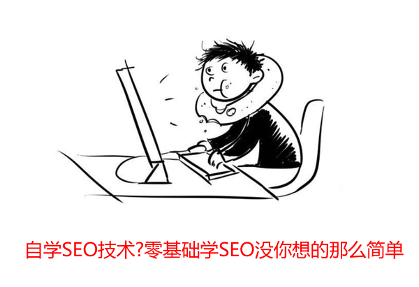 自学SEO技术?零基础学SEO没你想的那么简单 第一张