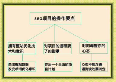 seo项目