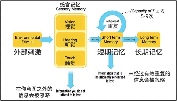 超干货！如何利用记忆心理学提高用户体验？