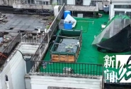 上海一居民楼顶惊现巨大鱼缸！近2.5吨！官方：没有法规可禁止……