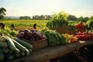 农产品和农副产品，它们有什么区别？