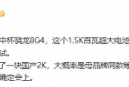 iQOO 13曝光：骁龙8 Gen4处理器+1.5K直屏+百瓦大电池