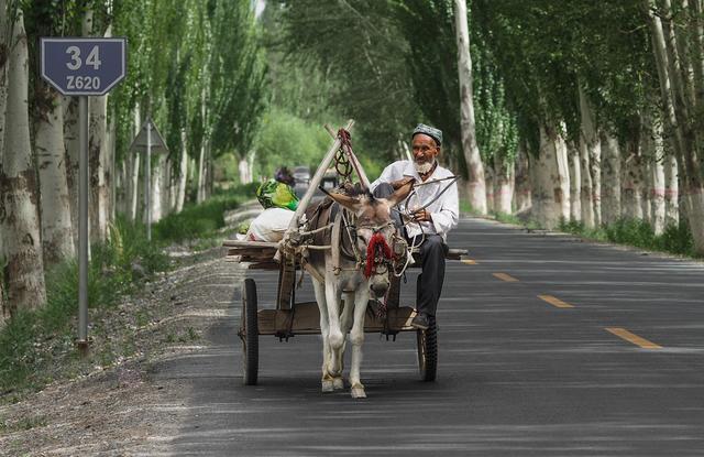 《新疆各地最好旅游时候》详解，季节性景点，别再“千里送门票”