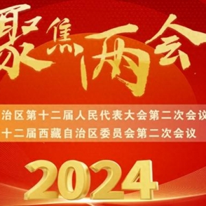 长图速览丨西藏2024，政府工作报告来了！